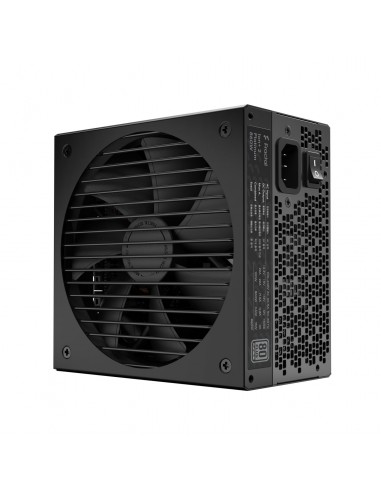 PSU FD ION+2 PLATINUM 860W ATX